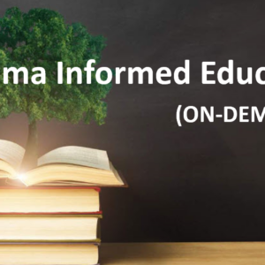 Trauma-Informed Educator On-Demand